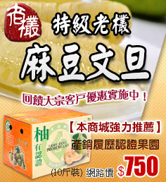 特級老欉㊣麻豆文旦（10斤裝）